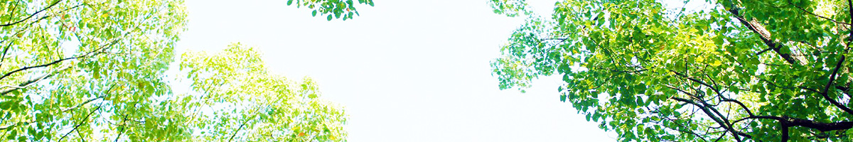 アクセストップイメージ