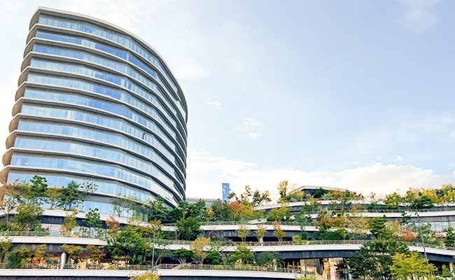 サクラマチクマモト