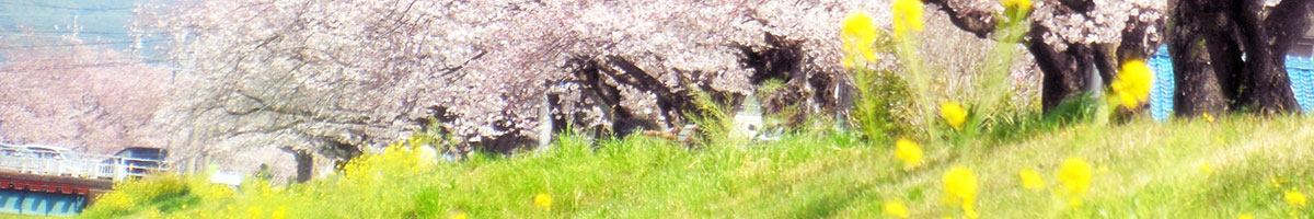 周辺情報トップイメージ