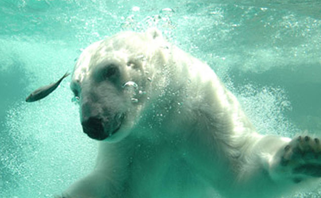 豊橋総合動植物公園（のんほいパーク）