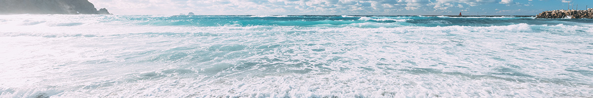 プライバシーポリシー