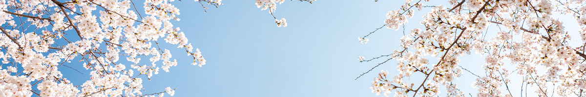 キャンセルポリシー