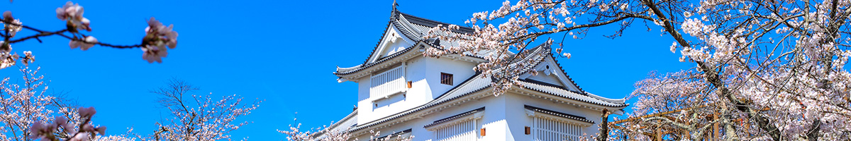 周辺情報トップイメージ